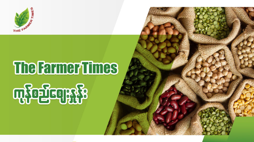 The Farmer Times မေလ ၁၁ ရက် ကုန်စည်စျေးနှုန်း