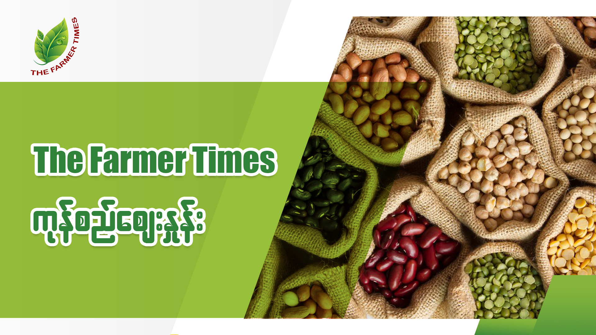 The Farmer Times မေလ ၁၁ ရက် ကုန်စည်စျေးနှုန်း