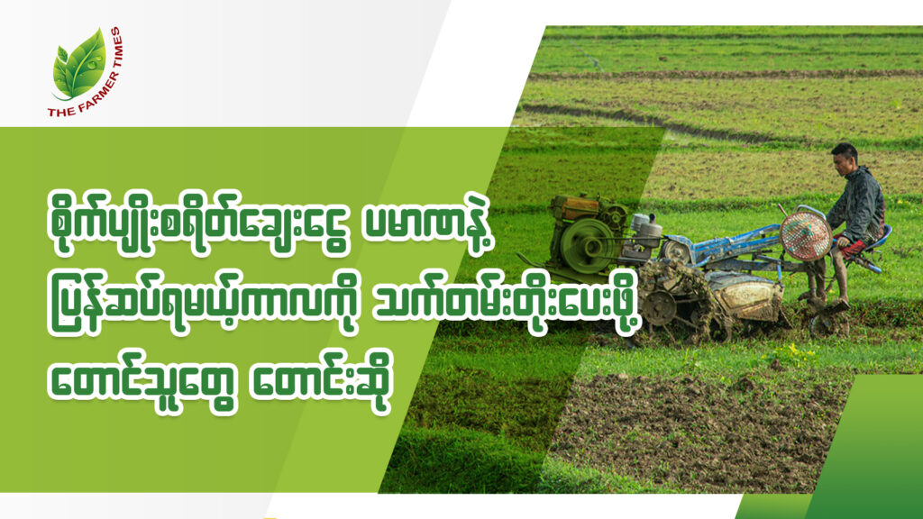 တောင်သူတွေအတွက် စိုက်ပျိုးစရိတ်ချေးငွေ မနက်ဖြန်မှာ ထုတ်ချေးပေးမယ်၊ ချေးငွေက မြေဩဇာဖို့ပင်မရလို့ တောင်သူတွေ အခက်ကြုံနေ