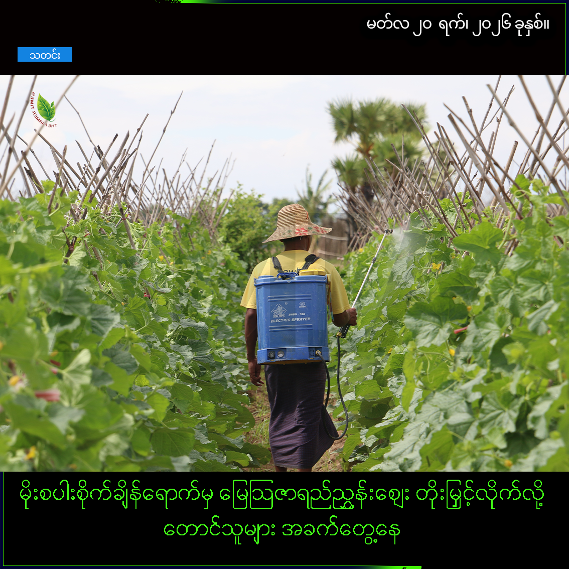 မိုးစပါးစိုက်ချိန်ရောက်မှ မြေဩဇာရည်ညွှန်းဈေး ထက်ဝက်ကျော် တိုးမြှင့်သတ်မှတ်လိုက်သဖြင့် တောင်သူများ အခက်တွေ့နေ