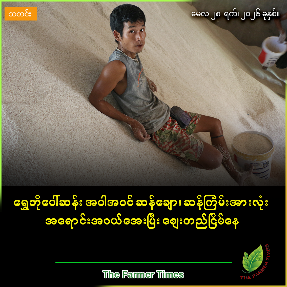 ရွှေဘိုပေါ်ဆန်း အပါအဝင် ဆန်ချော၊ ဆန်ကြမ်းအားလုံး အရောင်းအဝယ်အေးပြီး ဈေးတည်ငြိမ်နေ
