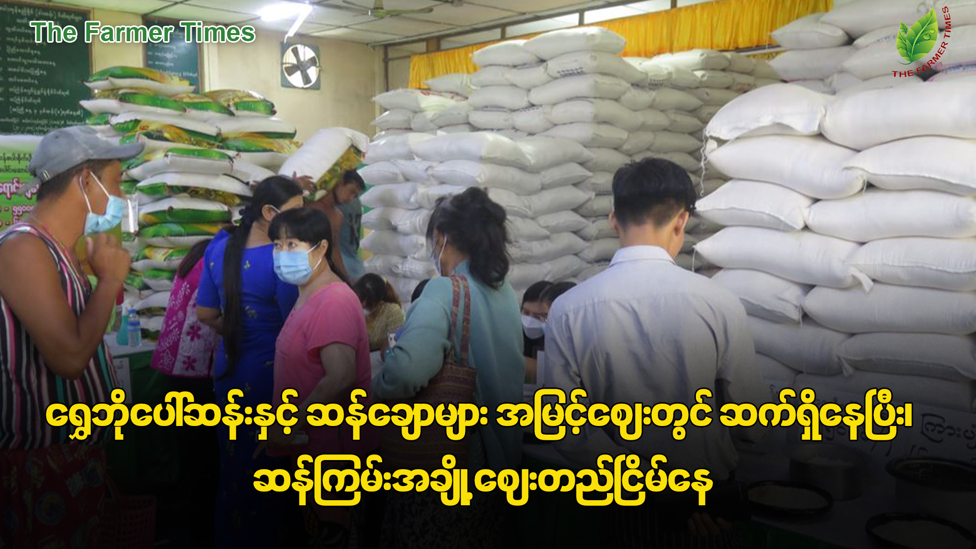ရွှေဘိုပေါ်ဆန်းနှင့် ဆန်ချောများ အမြင့်ဈေးတွင် ဆက်ရှိနေပြီး၊ ဆန်ကြမ်းအချို့ ဈေးတည်ငြိမ်နေ