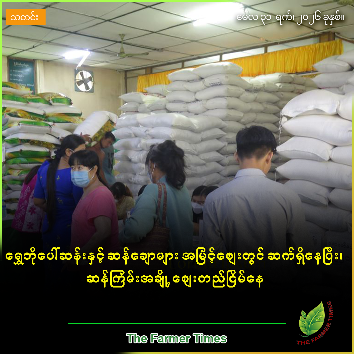 ရွှေဘိုပေါ်ဆန်းနှင့် ဆန်ချောများ အမြင့်ဈေးတွင် ဆက်ရှိနေပြီး၊ဆန်ကြမ်းအချို့ ဈေးတည်ငြိမ်နေ