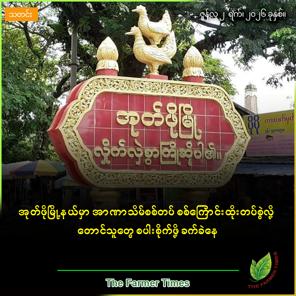 အုတ်ဖိုမြို့နယ်မှာ အာဏာသိမ်စစ်တပ် စစ်ကြောင်းထိုးတပ်စွဲလို့ တောင်သူတွေ စပါးစိုက်ဖို့ ခက်ခဲနေ
